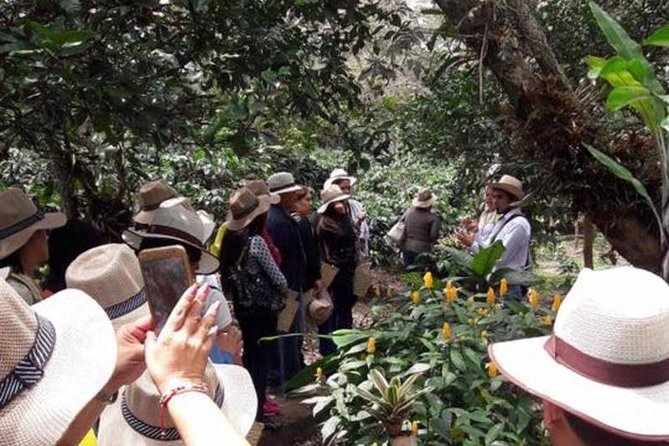 Coffee tour & rum tasting - Should you book this Coffee tour and rum tasting from Bogotá?