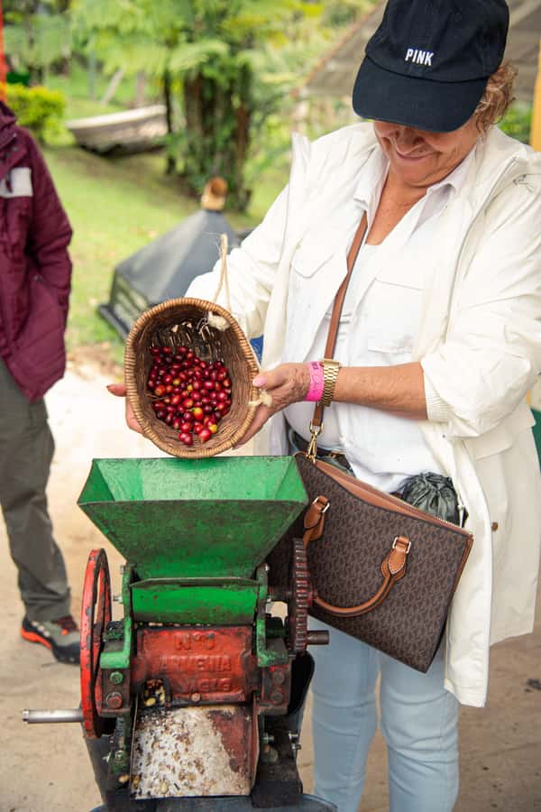 Coffee Tour Salento-Ocaso Farm- English Tour - Quick hits before you go