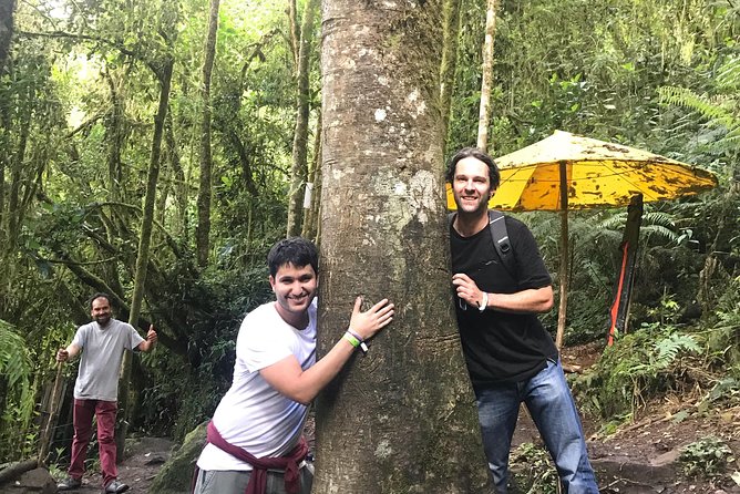 Colombia’s Tallest Waterfalls: La Chorrera Hike - How the Altitude and Wet Trails Affect Your Pace