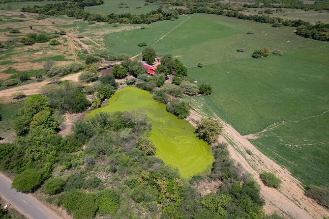 Community and Biodiversity Tour of the Tatacoa Desert from Neiva - Price and logistics: what $64 buys you (and what it doesn’t)