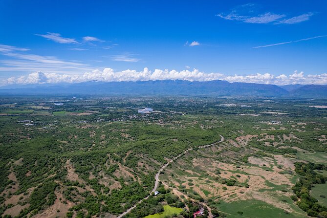 Community and Biodiversity Tour of the Tatacoa Desert from Neiva - Valle de los Xilópalos: 4 km of petrified wood and Miocene geology