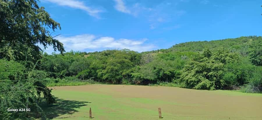 Community and Biodiversity Tour of the Tatacoa Neiva Desert - Valle de los Xilópalos: rock formations, fossils, canyons, and community culture