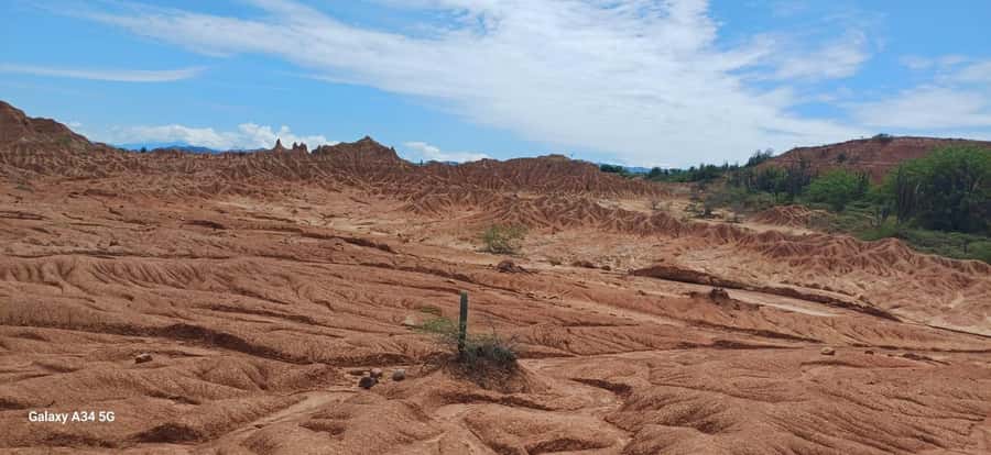 Community and Biodiversity Tour of the Tatacoa Neiva Desert - Lunch and a breather before the next round of heat
