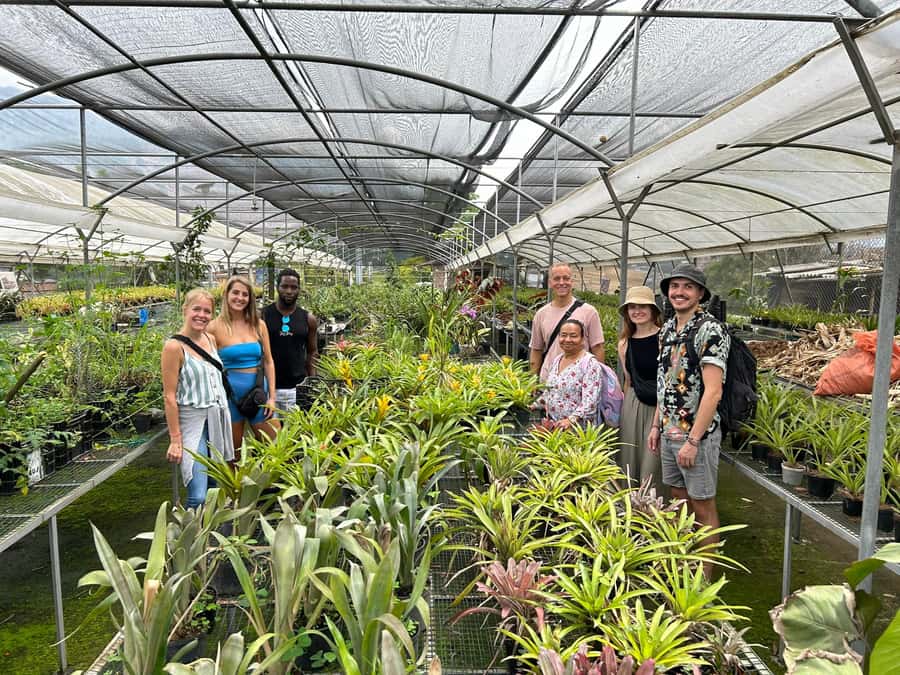 Comuna 4 - Moravia Tour - Key highlights worth your attention