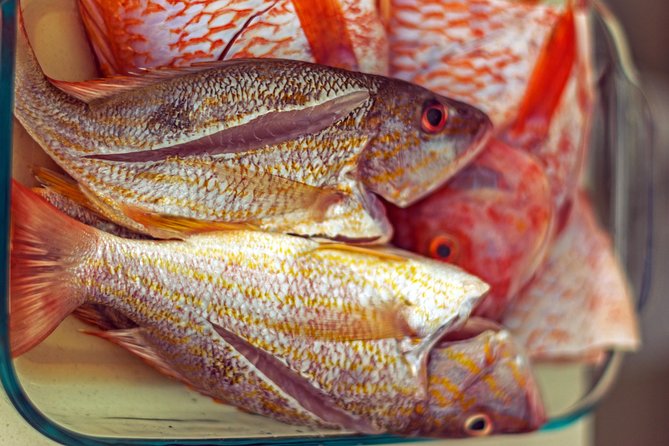 Cook Like a Local – A Traditional Caribbean Cooking Class - Private transportation and a comfortable pace