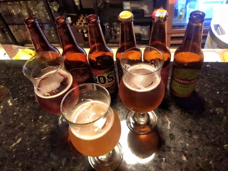 Craft Beer Pub Crawl in Cali - Who this craft beer crawl suits best, and who should skip