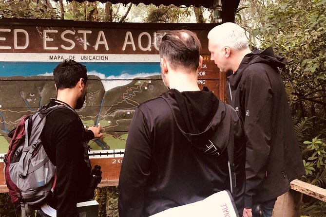 Day Trip to Chicaque National Park—from Bogota - The Main Hike: Birds, Mammals, Amphibians, and Real Spotting Skills