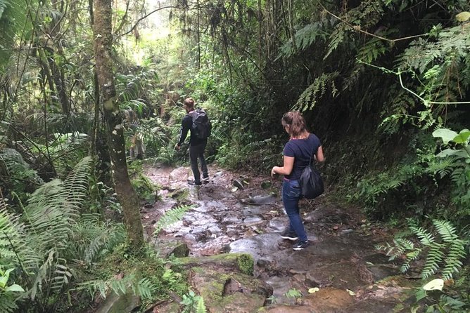 Day Trip to Chicaque National Park—from Bogota - The Return Ride: Culture Talk and Drop-Off Timing
