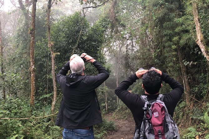 Day Trip to Chicaque National Park—from Bogota - The 7:00 a.m. Pickup and Drive Into the Countryside