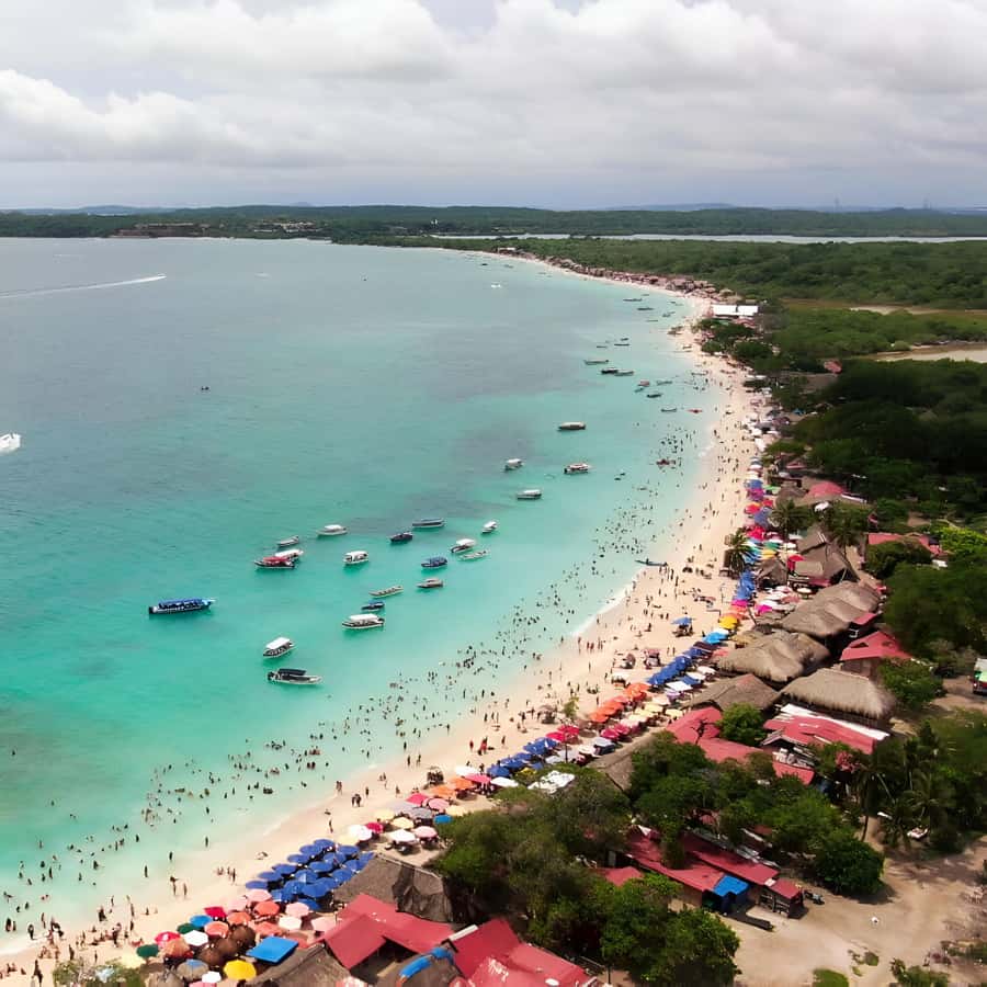 Daytour to Playa Tranquila VIP with Parasols, Lunch by bus! - Optional add-ons via the guide: snorkeling and mangroves with racoons