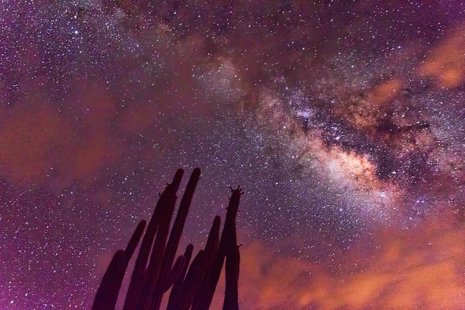 Desierto de la Tatacoa: paisajes y observación de estrellas. - What makes this trip feel special (and practical)