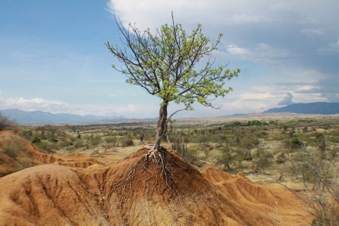 Desierto de la Tatacoa: paisajes y observación de estrellas. - Key highlights at a glance