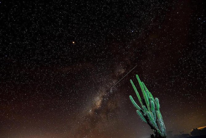 Desierto de la Tatacoa: paisajes y observación de estrellas. - Villavieja town time, then the Magdalena River for wildlife and local life