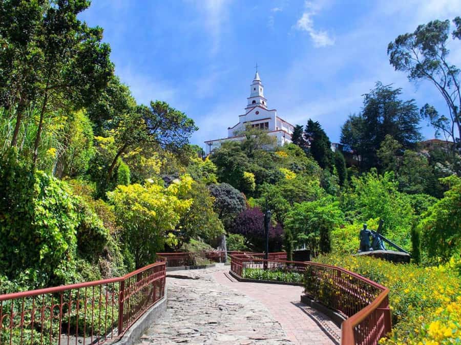 Discover Bogota-city tour and the Salt Cathedral in one day - Top Reasons This Bogotá and Zipaquirá Day Trip Works