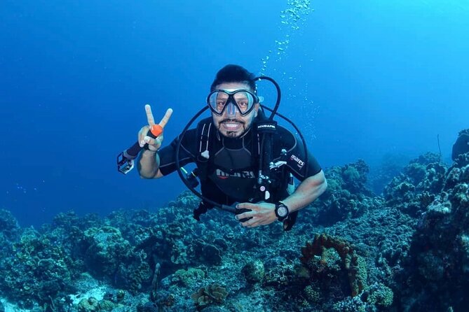 Diving Experience in Cartagena with all Incluided - Key highlights before you go