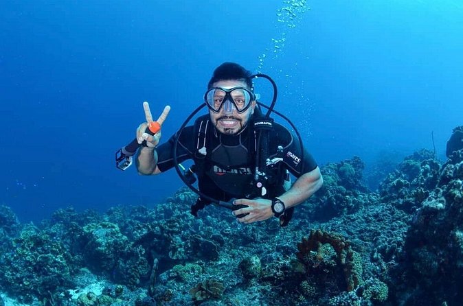 Diving Experience in Cartagena with all Incluided - What you eat and drink: Caribbean lunch plus boat snacks