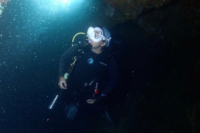 Diving Experience in Cartagena with all Incluided - Practical logistics in Cartagena: pickup, tickets, and timing