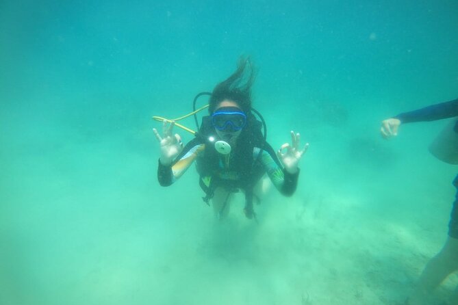 Diving in Playa Blanca Barú with Lunch - Cartagena Colombia - The 7:30am Barú transfer: logistics that shape your whole day