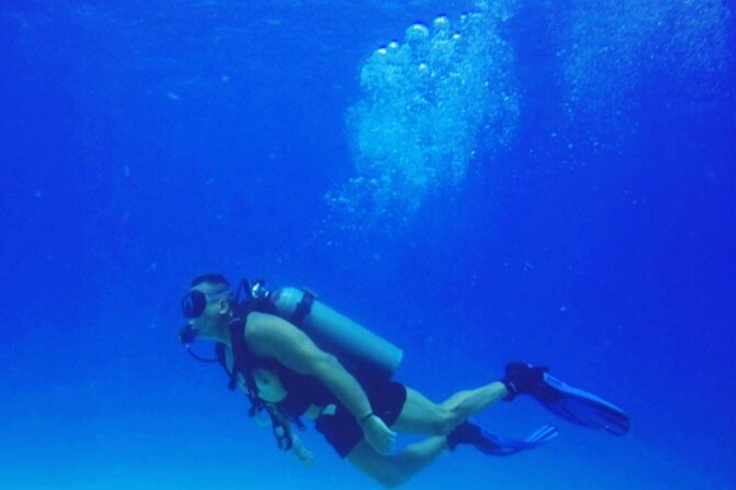 Diving in Playa Blanca Barú with Lunch - Cartagena Colombia - Who should book, and who should skip (based on real safety and comfort needs)