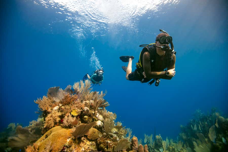 Diving Santa Marta & Tayrona for Certified Divers (2 tanks) - Santa Marta and Tayrona: what you’re actually paying for