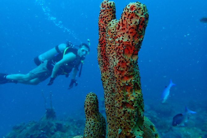 Diving Trip for Certified Divers. - The boat ride to Baru or Salmedina reefs