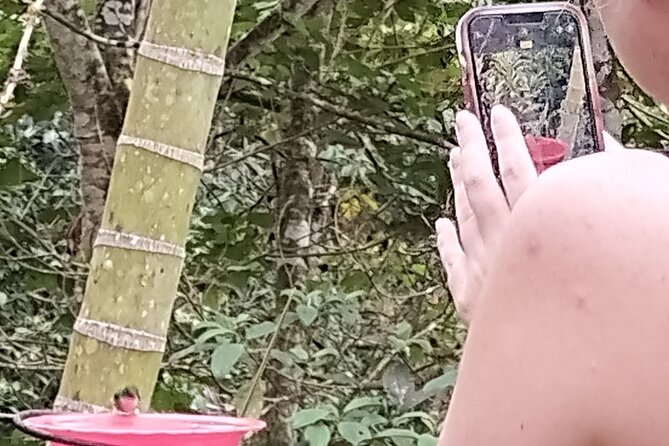 Easy Birdwatching in Cali Colombia (4 Hours) - The Short Farm Stop for Baby Goat Feeding