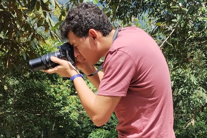 Easy Birdwatching in Cali Colombia (4 Hours) - Price and Logistics: Is $94.99 Worth It?