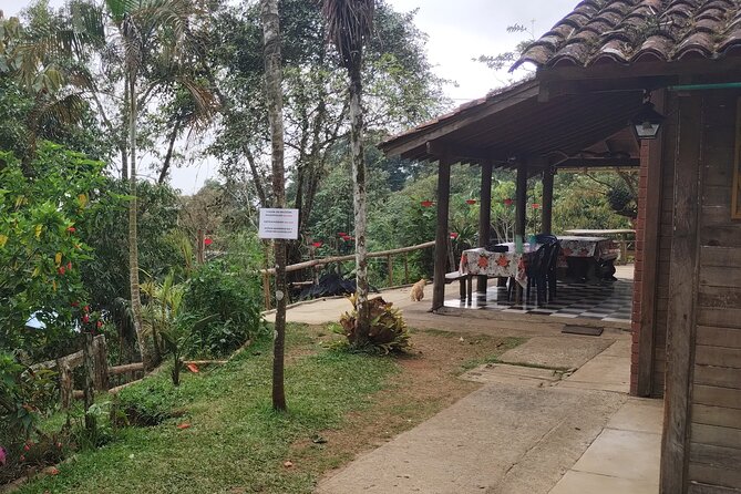 Easy Birdwatching in Cali Colombia (4 Hours) - What Could Go Wrong, and How to Stay Flexible