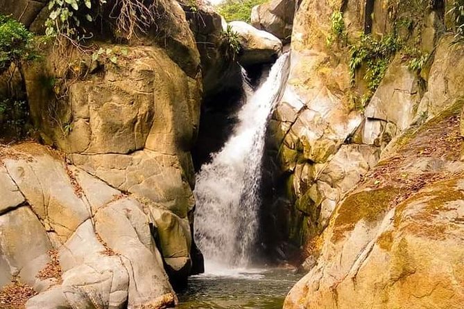 Eco-Hike in Minca: Coffee Tour, Waterfall & Chocolate Experience! - Key Highlights You Will Actually Feel