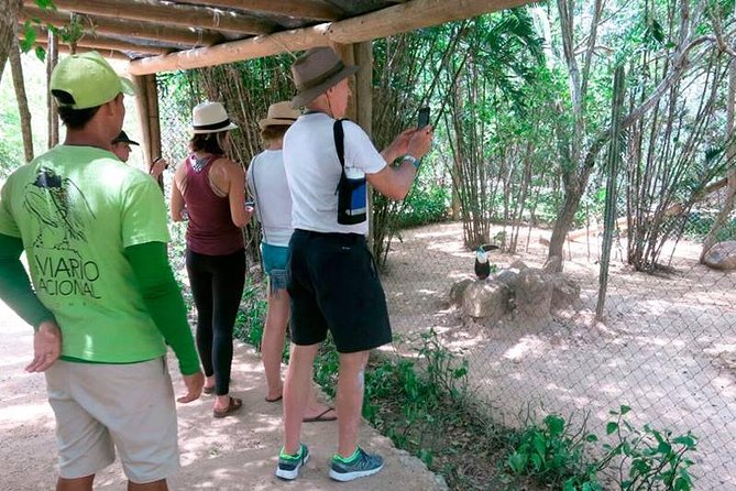 Eco Plan National Aviary and Lunch in Playa Mambo Beach Barú - What I’d book this for, and who should consider alternatives