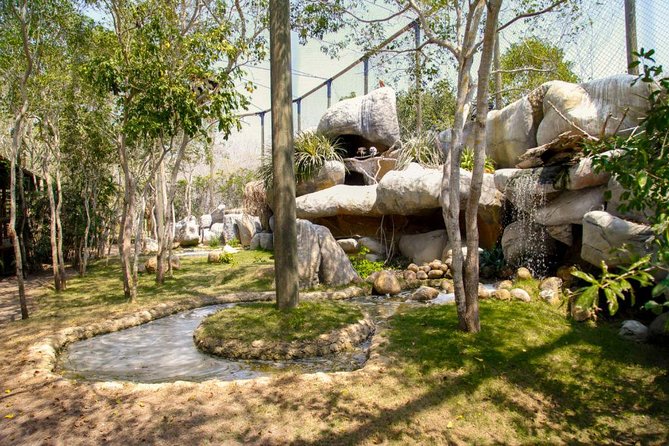 Eco Plan National Aviary and Lunch in Playa Mambo Beach Barú - Switching gears to Barú: the Mambo Beach lunch plan