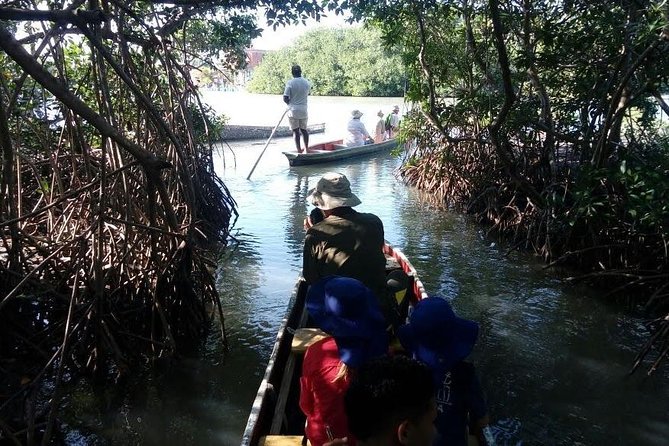 Ecoruta Volcán del Totumo and experience in the Mangroves - Guides and the day-to-day experience: Isaac, Dilan, and Vanessa