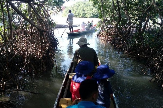 Ecoruta Volcán del Totumo and experience in the Mangroves - Who should book this and who should skip it