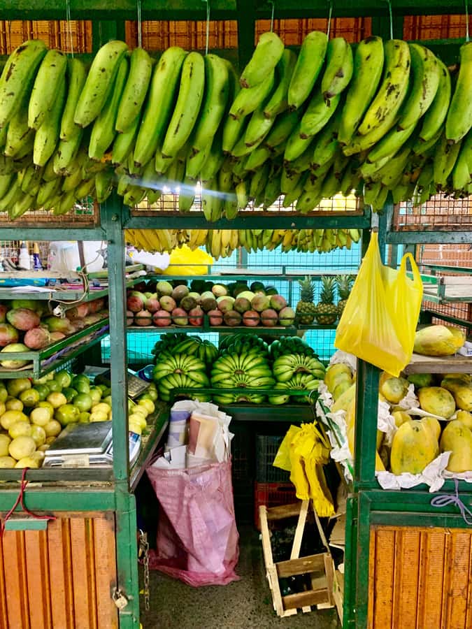 Essential Fruit Experience - Key highlights you will actually use
