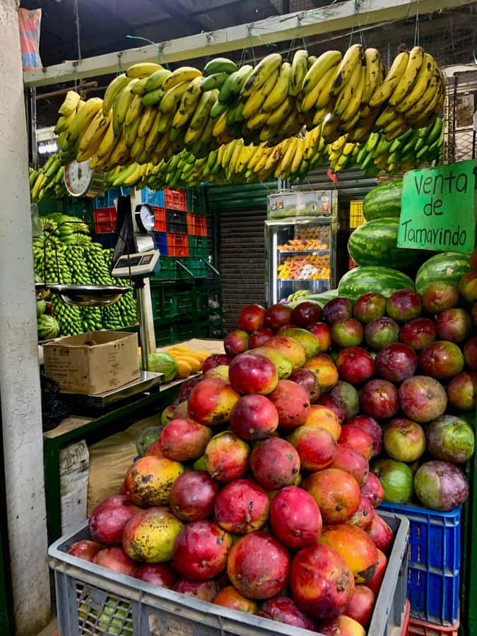 Essential Fruit Experience - Your tasting lineup, what you should look for