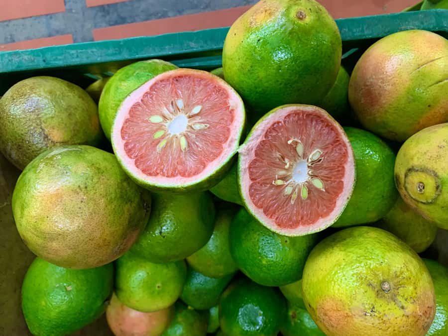 Essential Fruit Experience - How the market walk turns fruit into real knowledge