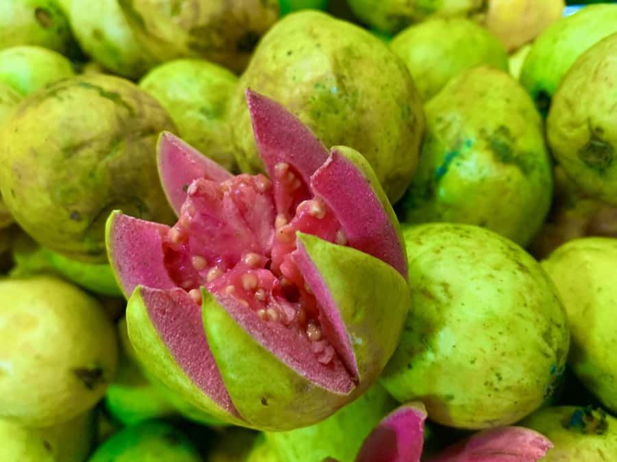 Essential Fruit Experience - Guide attention makes the difference in a fruit tour