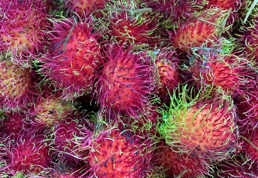 Essential Fruit Experience - Price and value, is $16 USD a good deal?