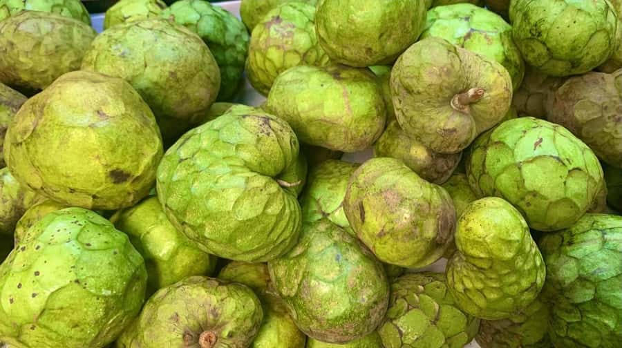 Essential Fruit Experience - Getting there, meeting points, and what to do when you arrive