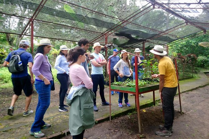 Exclusive Coffee Experience:Tour from Bogotá - The Hacienda Coloma setup makes this coffee lesson feel practical
