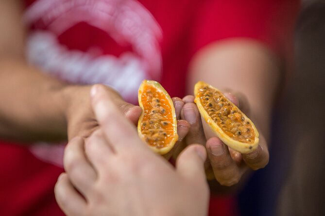 Exotic Fruits Tour - What you learn in the fruit tasting (and why it matters)