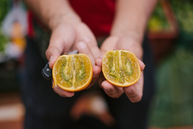 Exotic Fruits Tour - Small group pacing and comfort tips for market walking
