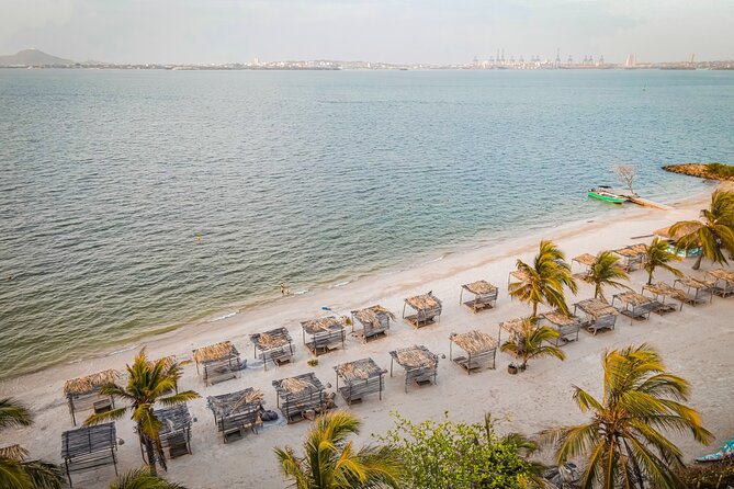 Experience Fenix Beach Cartagena - Basic Day Pass - Key highlights you should know
