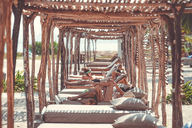 Experience Fenix Beach Cartagena - Basic Day Pass - Practical tips: water, dogs, and outside hustlers