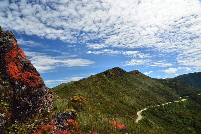 Explore Chingaza Natural Park: A Scenic Adventure from Bogotá - Rincón del Oso Trail: páramo air, cloud cover, and a smart guided pace