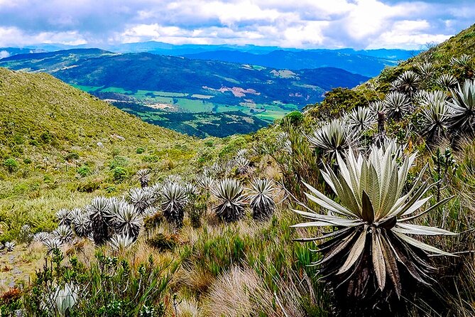 Explore Chingaza Natural Park: A Scenic Adventure from Bogotá - Comfort level: who this tour suits best