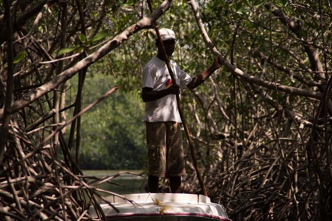 Explore La Boquilla’s Mangrove Tunnels with Local Fishermen - Key things that make this tour worth your time