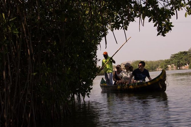Explore La Boquilla’s Mangrove Tunnels with Local Fishermen - Getting from Cartagena to La Boquilla, with real mangrove context