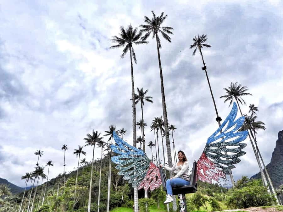 Filandia, Salento and Cocora Valley Private Tour - Cocora Valley wax palms: the hike that makes the photos make sense
