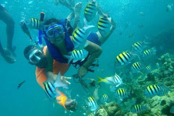 Four Islands Experience Isla Baru - Price and what you truly get for $90